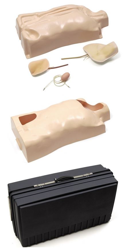 IV Trainer Torso, Basis